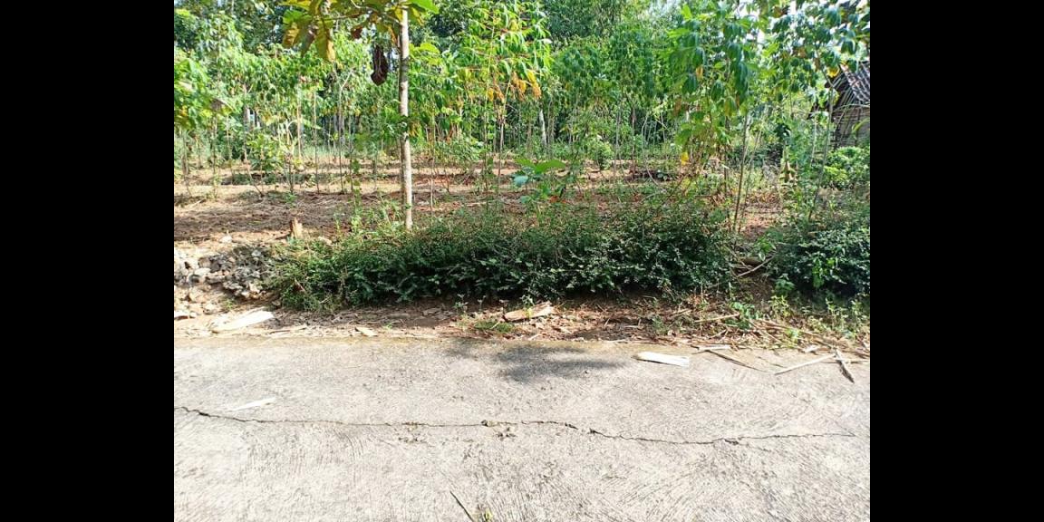 Tanah 225m2 Siap Dibangun Mojogedang Karanganyar Tanah 225m2 Siap Dibangun Mojogedang Karanganyar