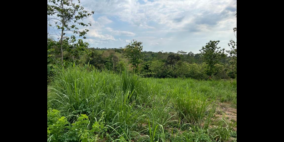 Tanah 1,4 Hektar Tepi Jl Raya Karangpandan, Karanganyar Tanah 1,4 Hektar Tepi Jl Raya Karangpandan, Karanganyar