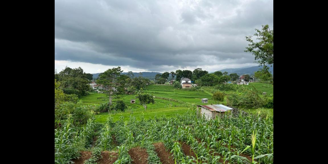 Tanah Datar 178m² Dekat Isykarima Karangpandan Tanah Datar 178m² Dekat Isykarima Karangpandan