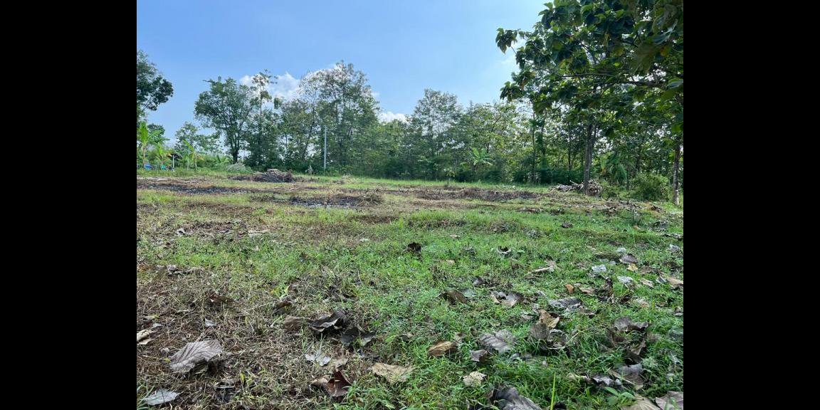 Tanah Strategis 3000m² Jl Raya Sragen Karanganyar Tanah Strategis 3000m² Jl Raya Sragen Karanganyar