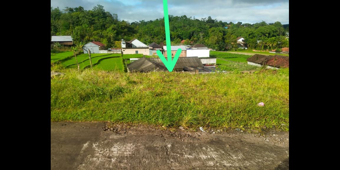 Jual Tanah Dekat Isykarima Karangpandan Karanganyar Jual Tanah Dekat Isykarima Karangpandan Karanganyar