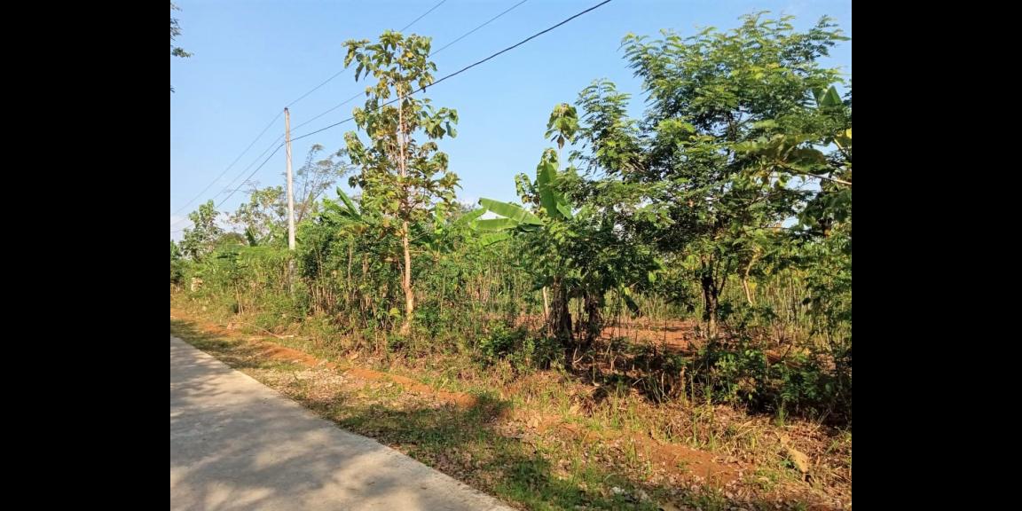 Tanah 12400m² Jumapolo Karanganyar Tanah 12400m² Jumapolo Karanganyar