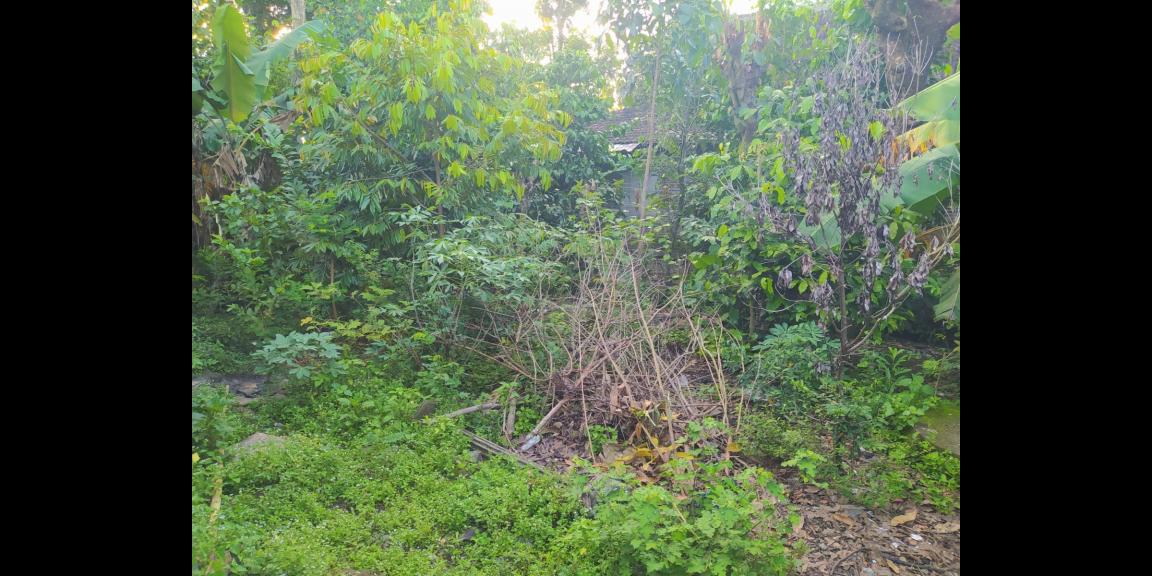 Rumah Mewah Siap Huni Masaran Sragen Rumah Mewah Siap Huni Masaran Sragen