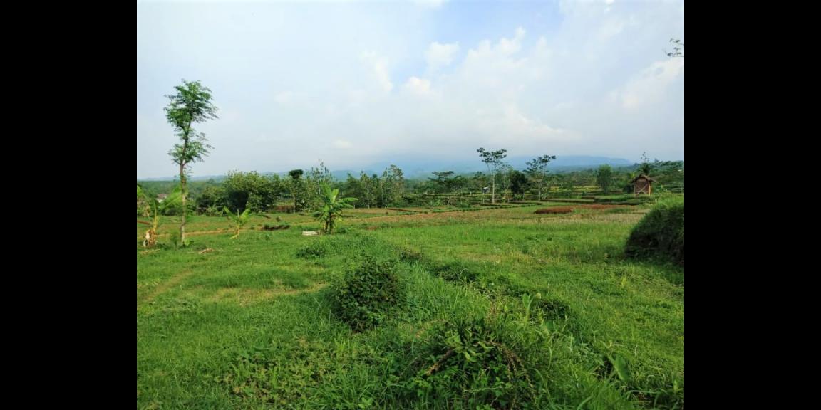 Jual Tanah View Gunung Lawu Karanganyar Jual Tanah View Gunung Lawu Karanganyar