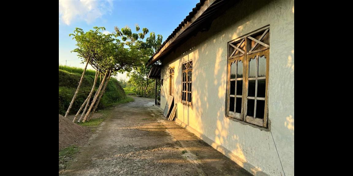 Dijual Rumah Asri Tengah Sawah Kedawung Sragen Dijual Rumah Asri Tengah Sawah Kedawung Sragen