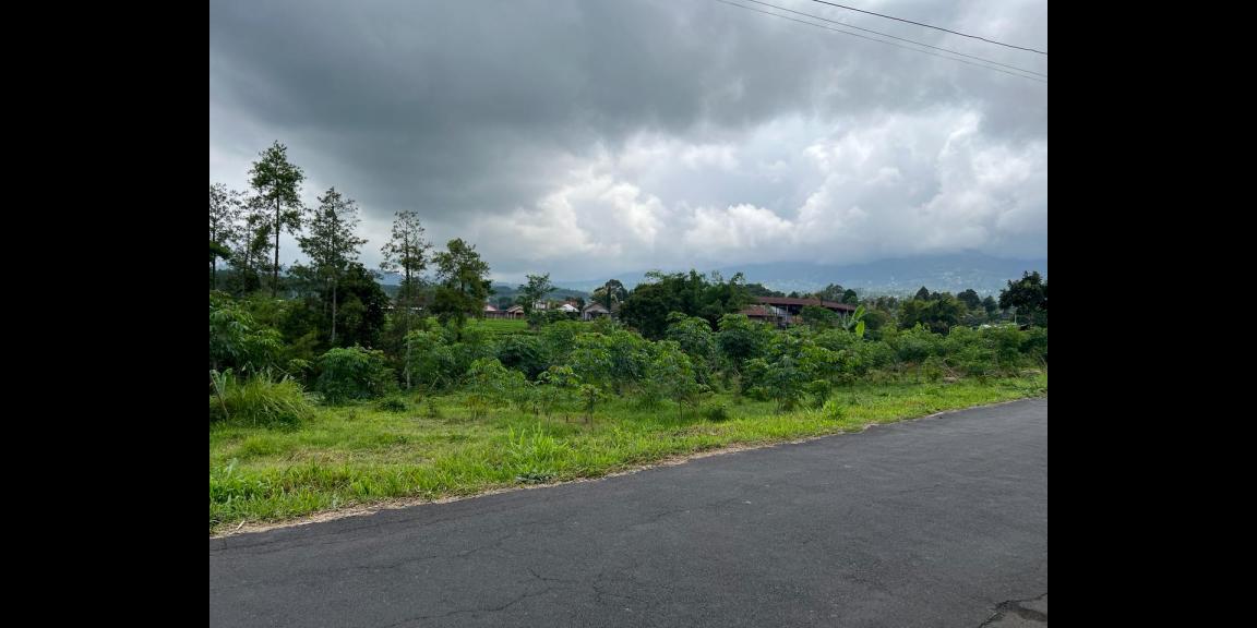 Tanah Strategis 2492m² Dibangun Villa Karangpandan Tanah Strategis 2492m² Dibangun Villa Karangpandan