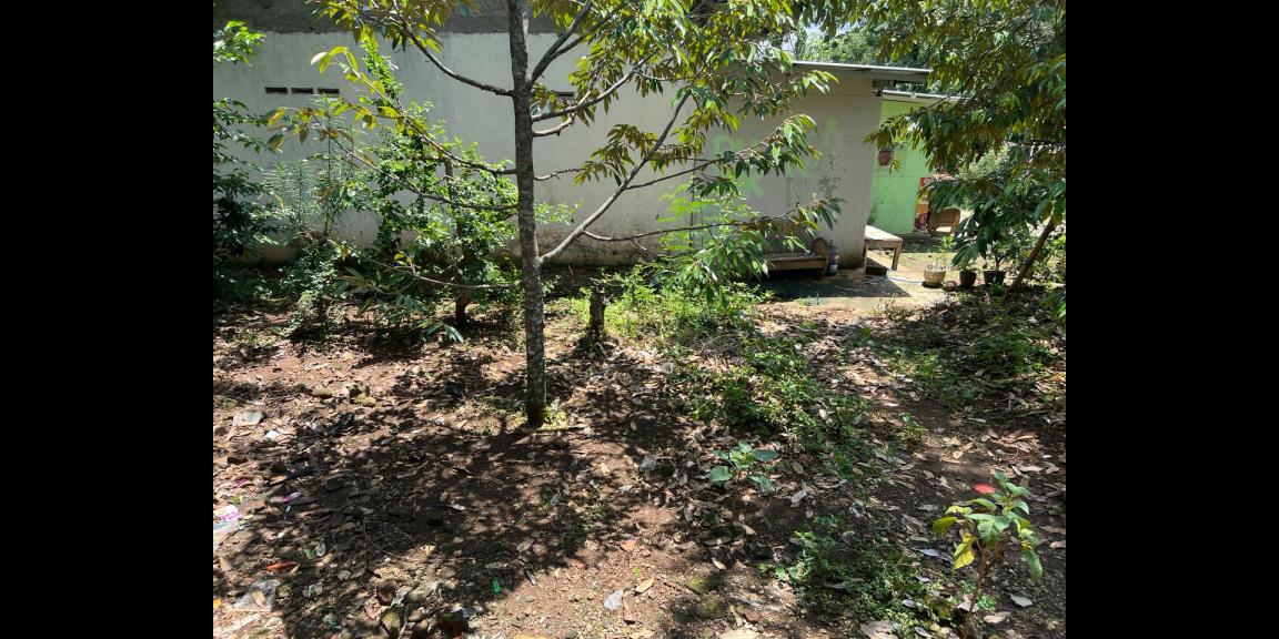 Tanah Kebun Durian Hanya 85 Juta Karanganyar Tanah Kebun Durian Hanya 85 Juta Karanganyar