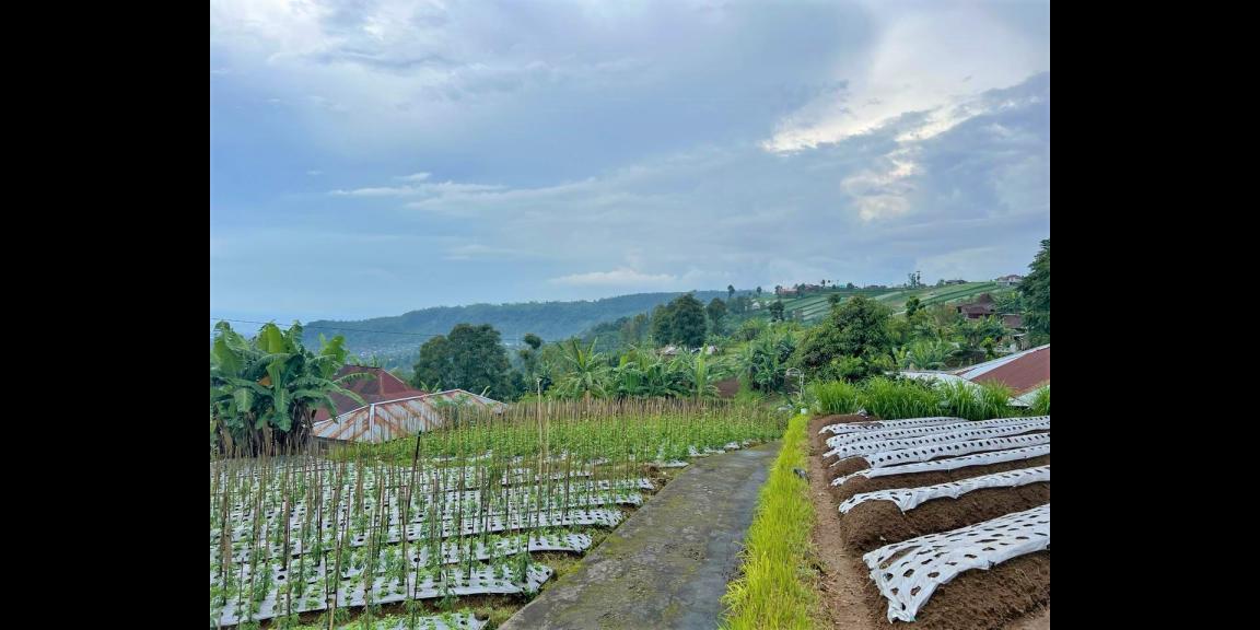 Tanah View Istimewa 200m Kemuning Karanganyar  Tanah View Istimewa 200m Kemuning Karanganyar