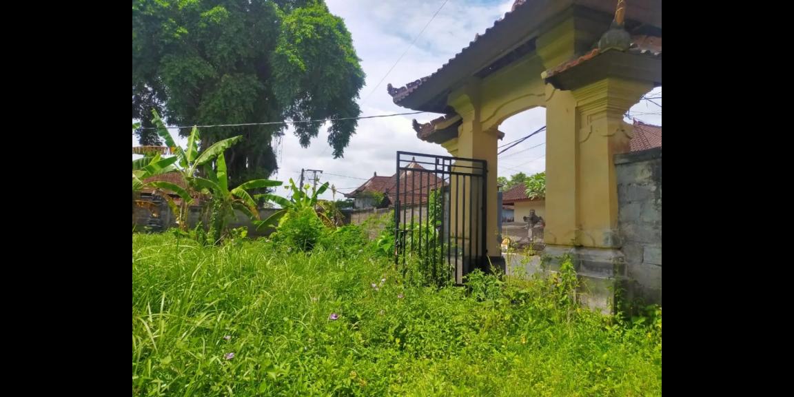 Tanah Murah di Jalan Gede Desa Daerah Mengwi Bali Tanah Murah di Jalan Gede Desa Daerah Mengwi Bali