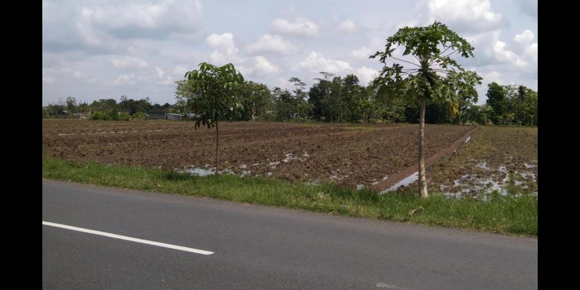 Tanah Datar Siap Bangun 3200m² Karanganyar Kota Tanah Datar Siap Bangun 3200m² Karanganyar Kota