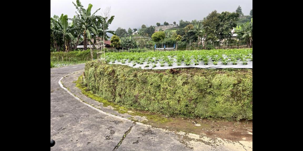 Tanah 400m² View Hutan Pinus Kemuning Karanganyar Tanah 400m² View Hutan Pinus Kemuning Karanganyar