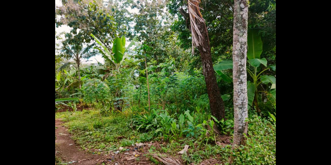 Tanah Datar Cocok dibangun Rumah Tinggal Mojogedang Tanah Datar Cocok dibangun Rumah Tinggal Mojogedang