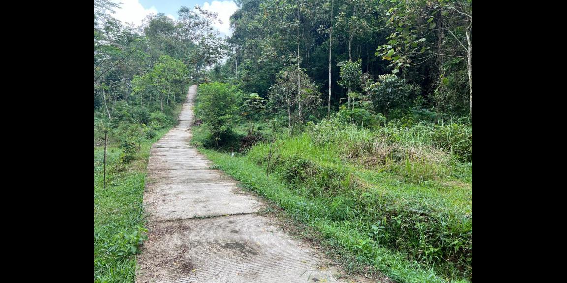 Pekarangan Datar 3820m² Siap Bangun Karangpandan Pekarangan Datar 3820m² Siap Bangun Karangpandan