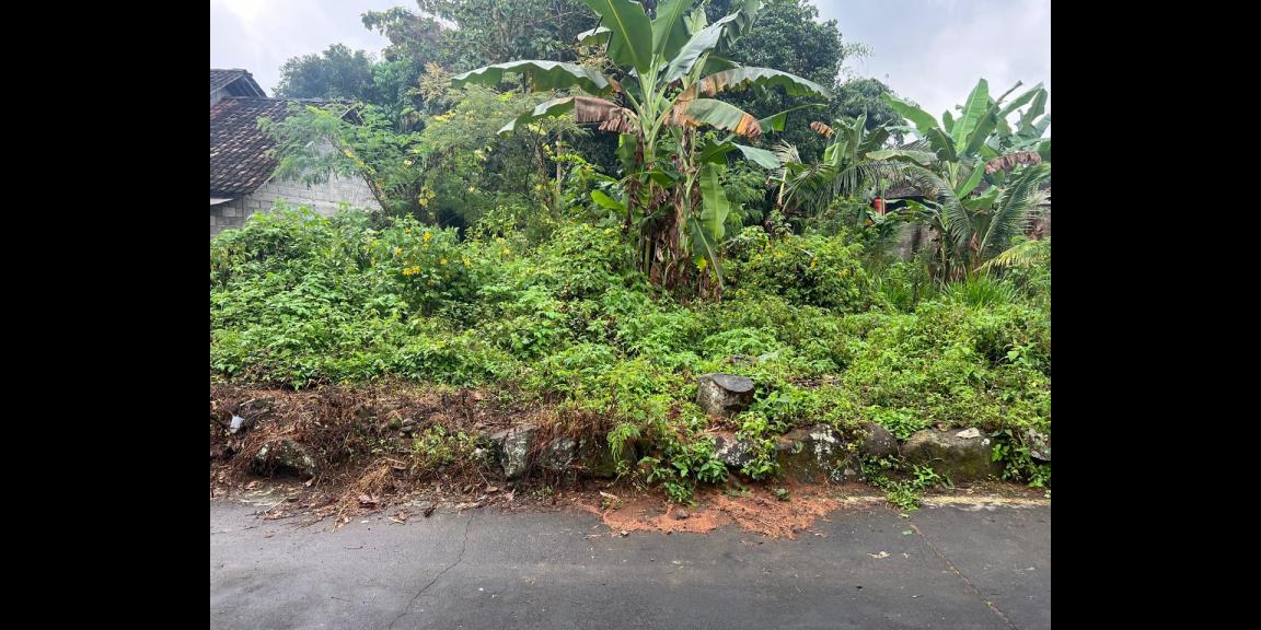 Tanah Datar 600m² Barat Pasar Karangpandan Tanah Datar 600m² Barat Pasar Karangpandan