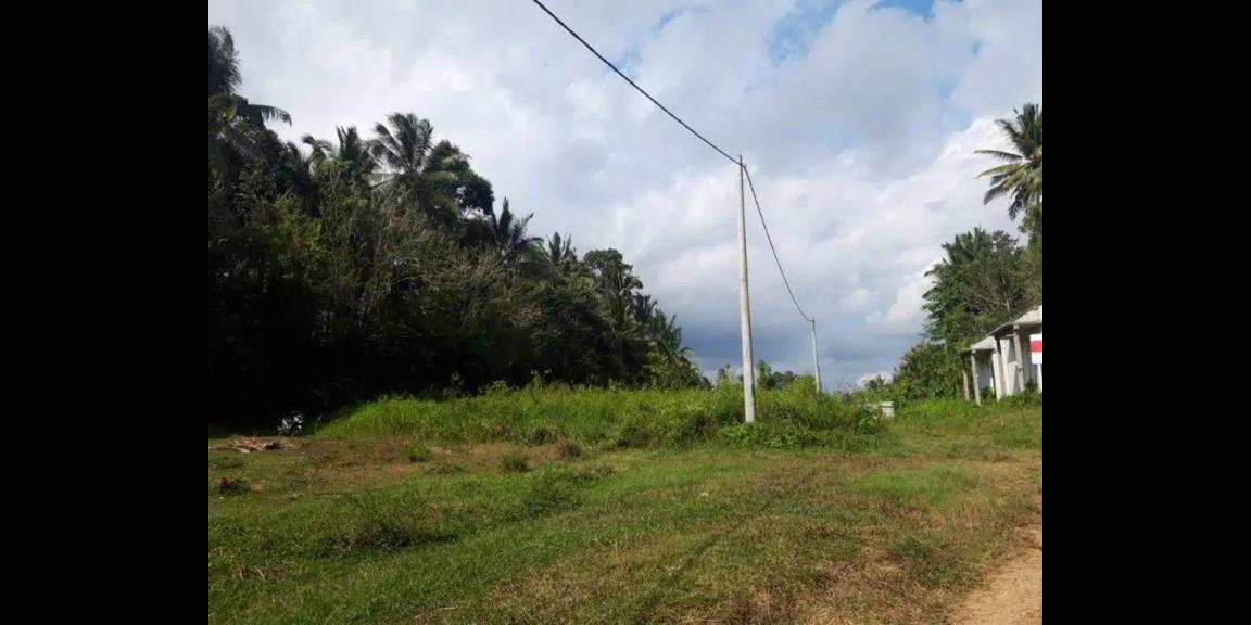 Jual Tanah Kavling Jalan Wisnu Marga Tabanan Murah Jual Tanah Kavling Jalan Wisnu Marga Tabanan Murah