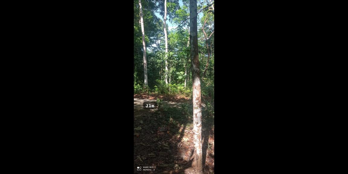 Tanah Datar 2895m² 650 Juta Karangpandan Karanganyar Tanah Datar 2895m² 650 Juta Karangpandan Karanganyar