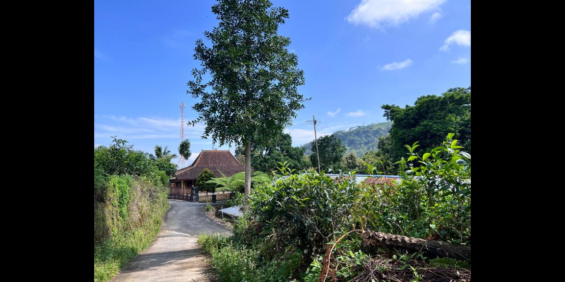 Tanah Strategis 285 Juta Timur Pasar Kemuning Tanah Strategis 285 Juta Timur Pasar Kemuning