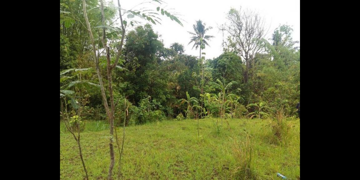 Tanah Kavling Murah Dekat Pantai Kaliasem Buleleng Tanah Kavling Murah Dekat Pantai Kaliasem Buleleng