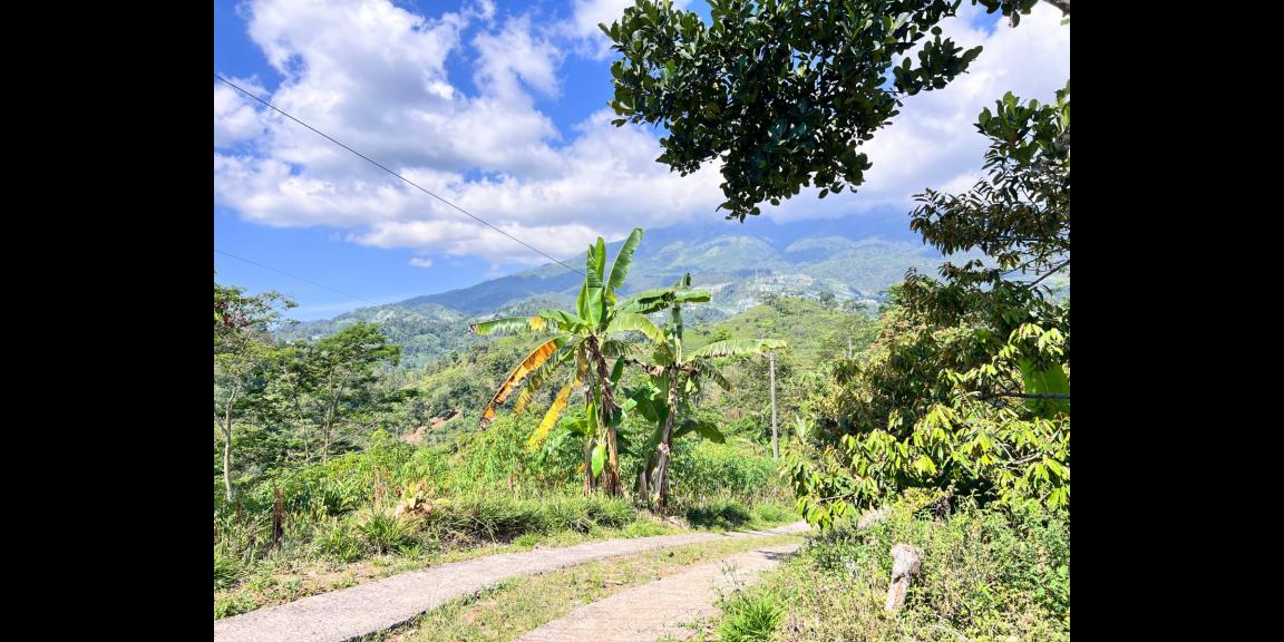 Tanah Idaman 5933m² View Langsung Gunung Lawu Tanah Idaman 5933m² View Langsung Gunung Lawu