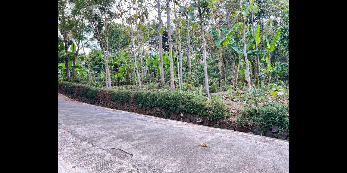 Tanah Hook Super Datar 900m² Utara Pasar Mojogedang Tanah Hook Super Datar 900m² Utara Pasar Mojogedang