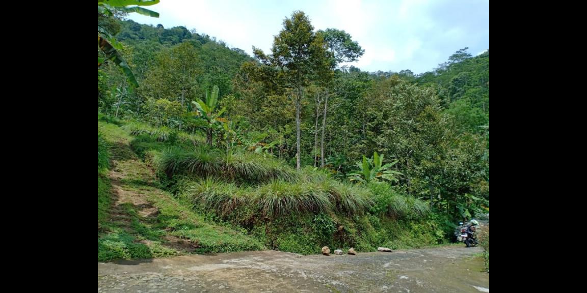 Tanah Strategis View Pemandangan Alam Kemuning Ngargoyoso Karanganyar Tanah Strategis View Pemandangan Alam Kemuning Ngargoyoso Karanganyar