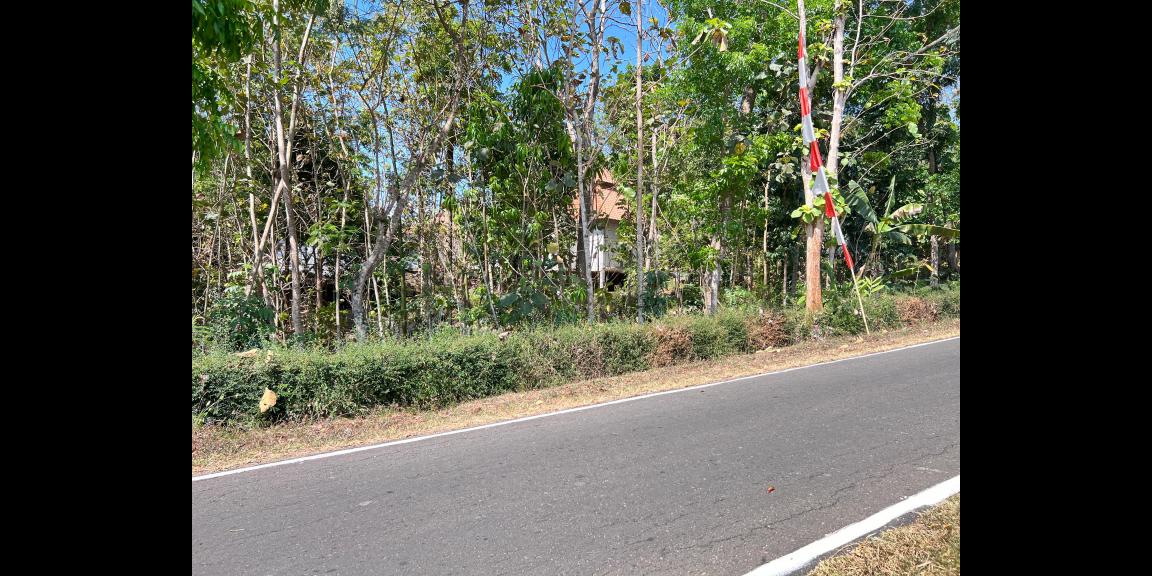 Dijual Pekarangan Strategis Mojogedang 500m² Dijual Pekarangan Strategis Mojogedang 500m²