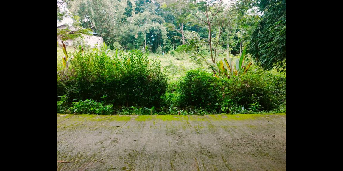 Tanah Kebun Buah Mojogedang Karanganyar Tanah Kebun Buah Mojogedang Karanganyar