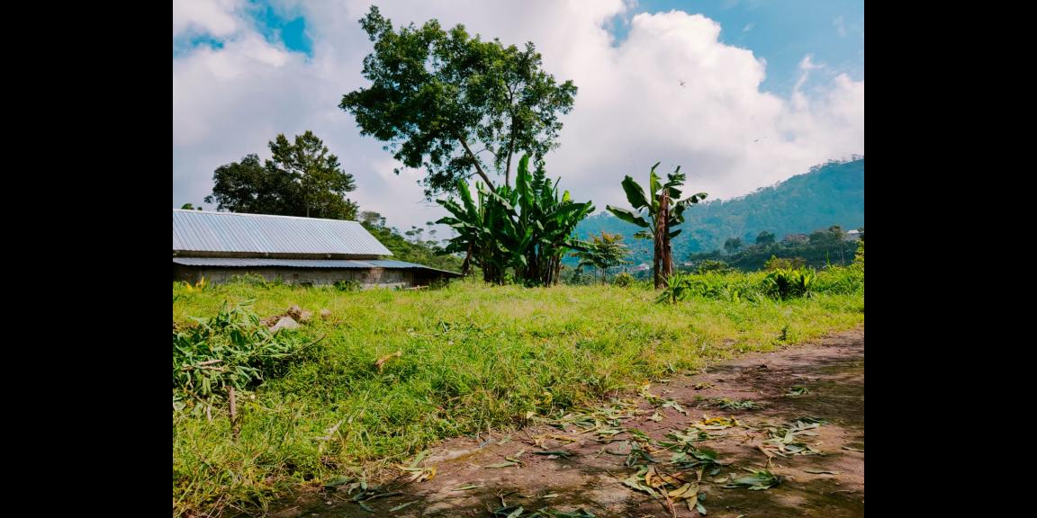Tanah Datar dikelilingi Kebun Teh Kemuning Karanganyar Tanah Datar dikelilingi Kebun Teh Kemuning Karanganyar