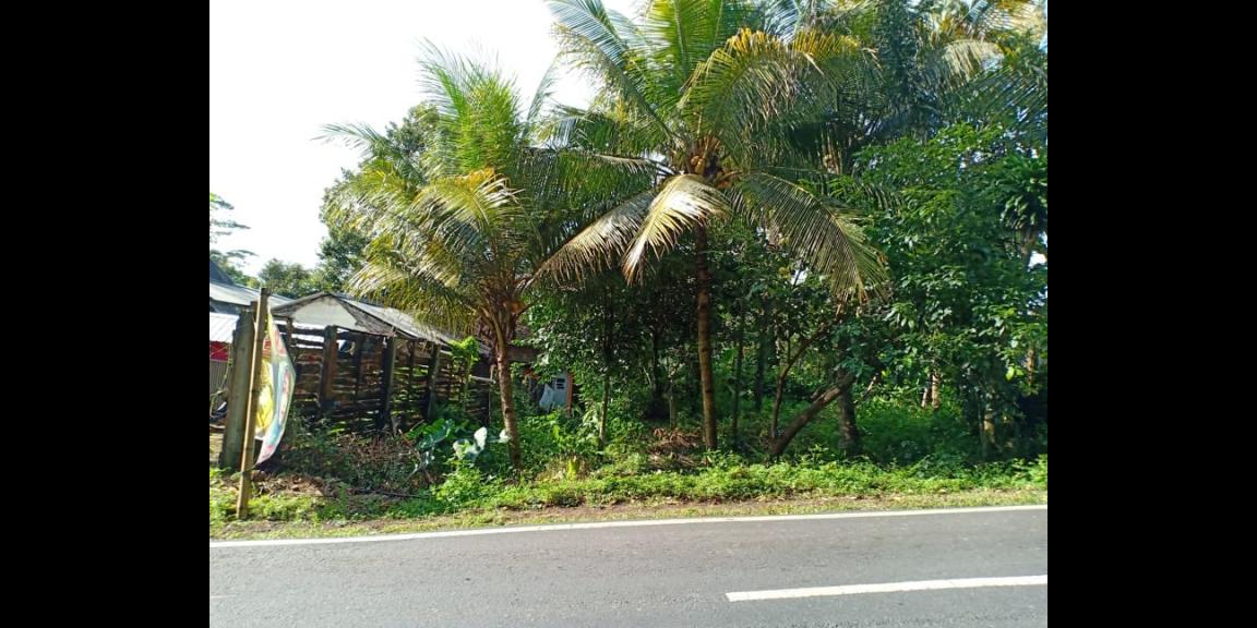 Tanah Strategis Buka Usaha Tepi Jl. Raya Kerjo Karanganyar Tanah Strategis Buka Usaha Tepi Jl. Raya Kerjo Karanganyar