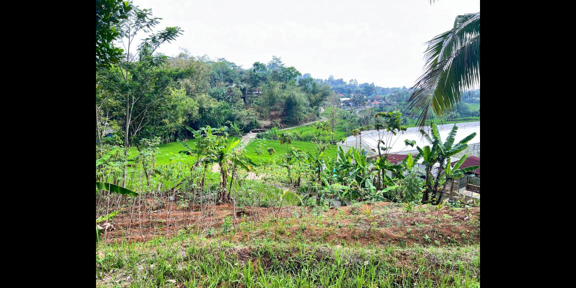 Tanah View Cantik 2850m² Hanya 333rb/m Karangpandan Tanah View Cantik 2850m² Hanya 333rb/m Karangpandan