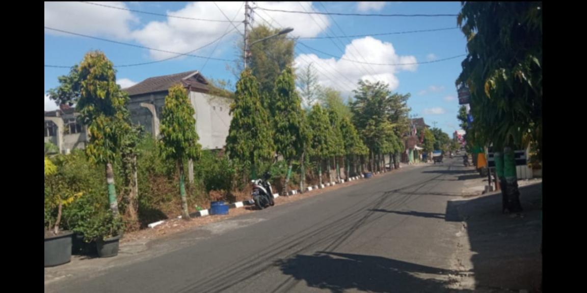 TANAH PINGGIR JALAN BENER SAMPING SMAN 2 KOTA JOGJA TIMUR MiROTA GODEAN SLEMAN TANAH PINGGIR JALAN BENER SAMPING SMAN 2 KOTA JOGJA TIMUR MiROTA GODEAN SLEMAN