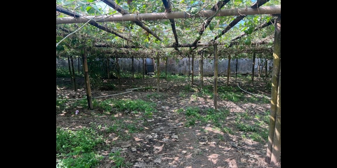 Tanah Udara Dingin 510m² Kota Wisata Kemuning Tanah Udara Dingin 510m² Kota Wisata Kemuning