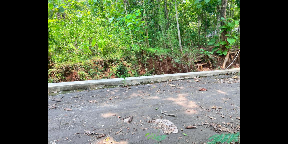 Tanah Kebun Jati 500m² 135Jt Kedawung, Sragen Tanah Kebun Jati 500m² 135Jt Kedawung, Sragen