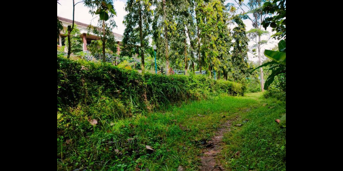 Tanah Subur Dekat Sungai Kerjo Karanganyar Tanah Subur Dekat Sungai Kerjo Karanganyar