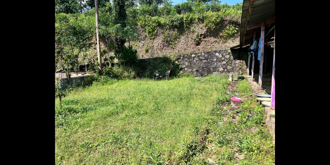 Tanah Strategis 1 Menit Dari Pasar Kemuning Karanganyar Tanah Strategis 1 Menit Dari Pasar Kemuning Karanganyar