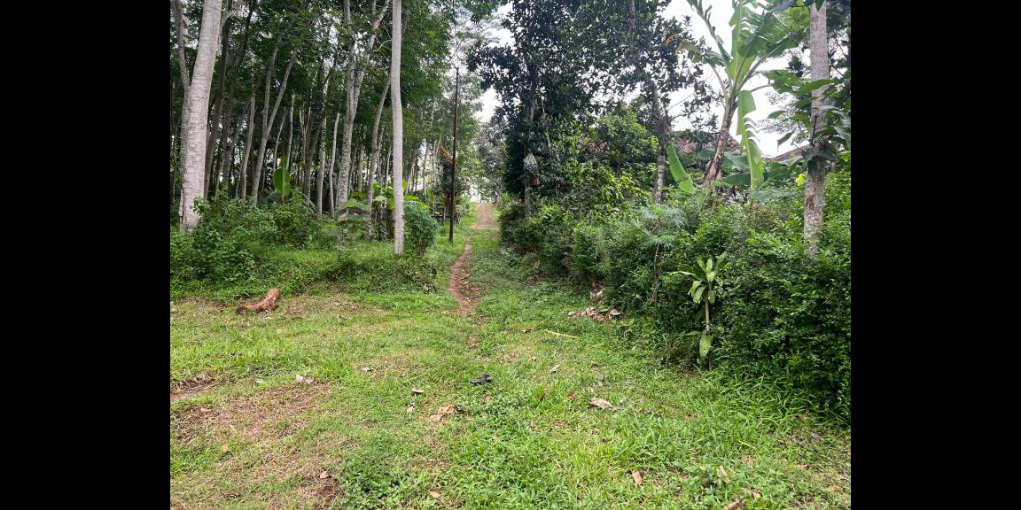 Tanah Datar 7905m² Timur Kantor Kecamatan Kerjo, Karanganyar Tanah Datar 7905m² Timur Kantor Kecamatan Kerjo, Karanganyar