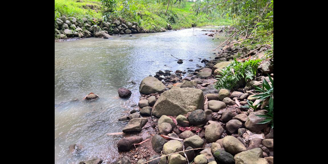 Tanah Subur 3265m² Hanya 70rb/m Kerjo, Karanganyar Tanah Subur 3265m² Hanya 70rb/m Kerjo, Karanganyar