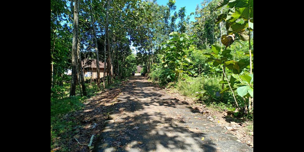 Jual Tanah Murah 55 Juta di Sragen Jual Tanah Murah 55 Juta di Sragen