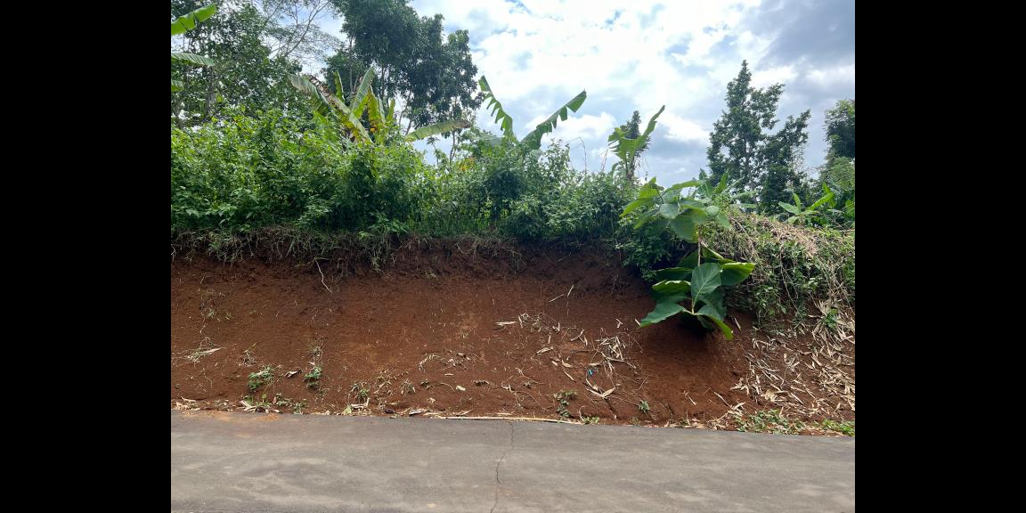 Tanah Datar Super Murah 1000m² 275 Juta Mojogedang Tanah Datar Super Murah 1000m² 275 Juta Mojogedang