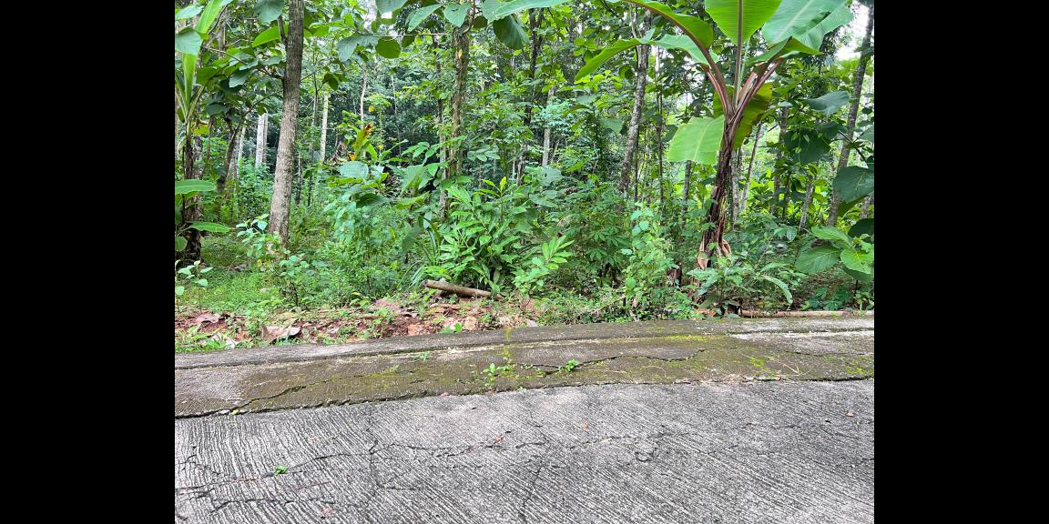 Pekarangan Super Datar 900m² Mojogedang, Karanganyar Pekarangan Super Datar 900m² Mojogedang, Karanganyar