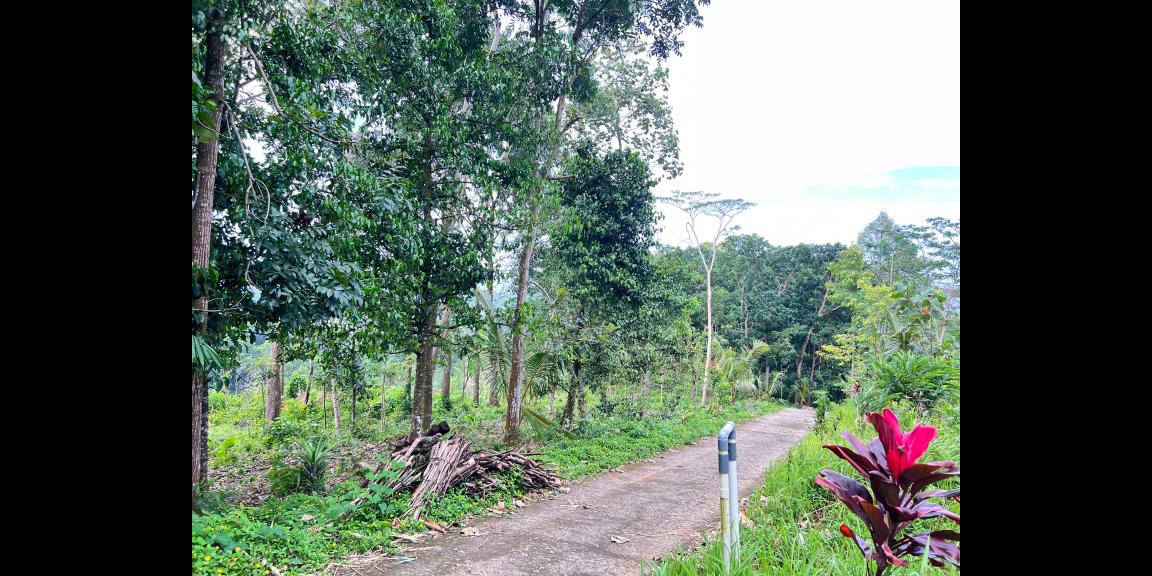 Tanah 2960m² Hanya 275 Juta Udara Dingin Karangpandan Tanah 2960m² Hanya 275 Juta Udara Dingin Karangpandan