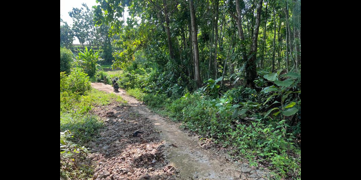 SUPER MURAH TANAH DATAR HANYA 50JT KEDAWUNG, SRAGEN SUPER MURAH TANAH DATAR HANYA 50JT KEDAWUNG, SRAGEN