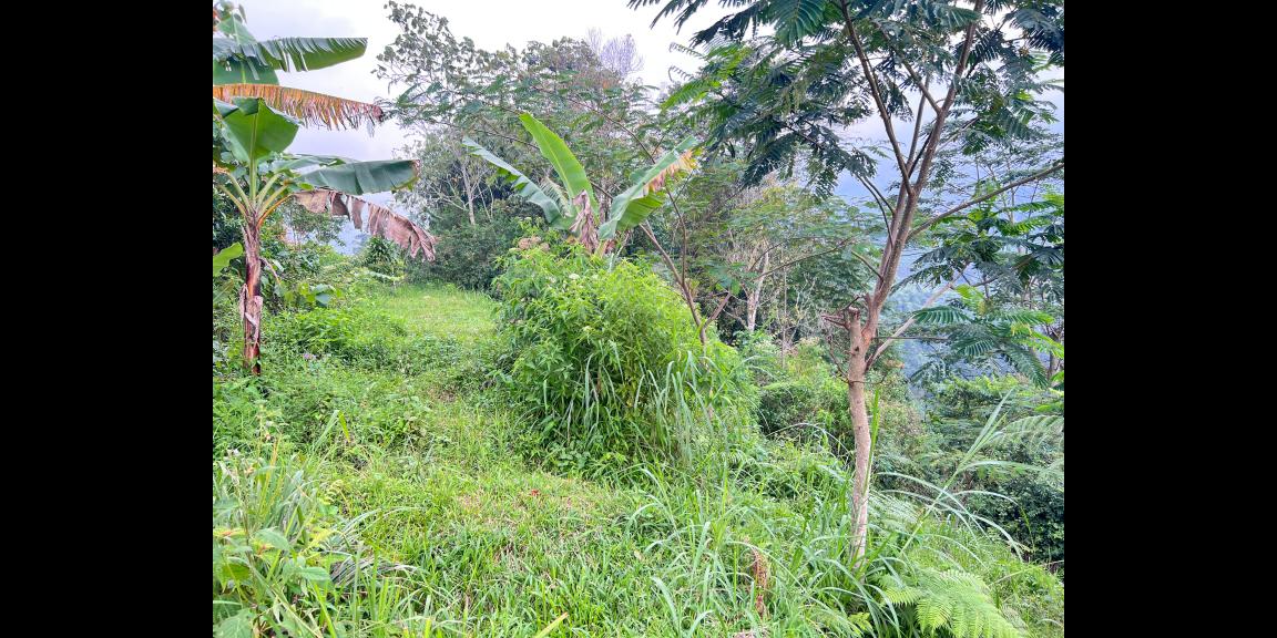 Tanah 3780m2 View Cantik Kemuning, Karanganyar Tanah 3780m2 View Cantik Kemuning, Karanganyar