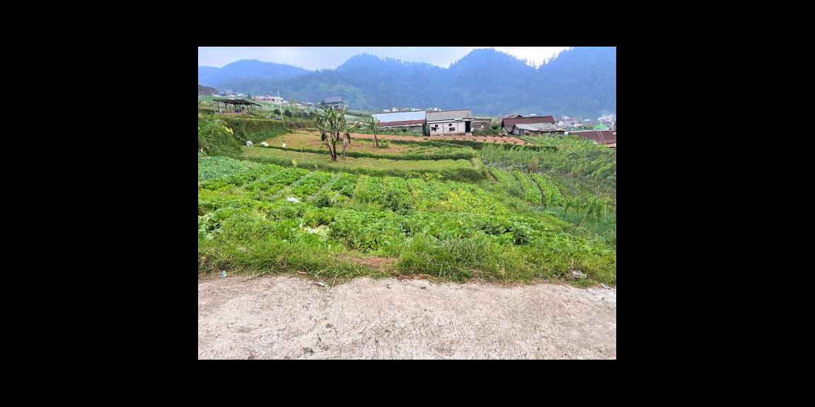 Tanah Idaman Cocok Untuk Villa Wisata Tawangmangu Tanah Idaman Cocok Untuk Villa Wisata Tawangmangu