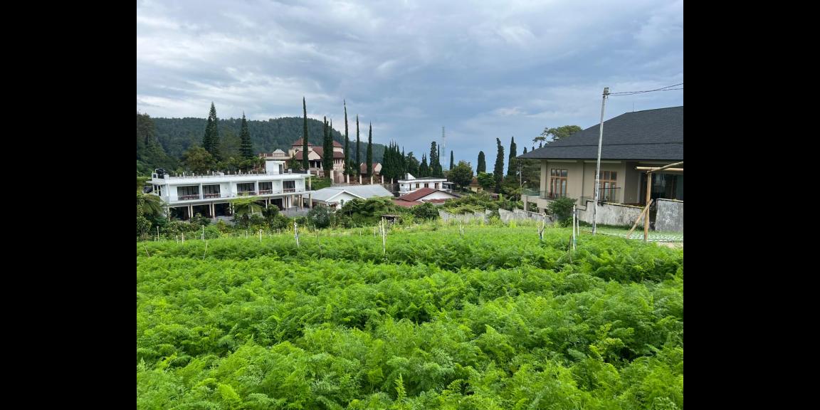 Tanah Datar 970m² Kawasan Villa Tawangmangu ,Karanganyar Tanah Datar 970m² Kawasan Villa Tawangmangu ,Karanganyar