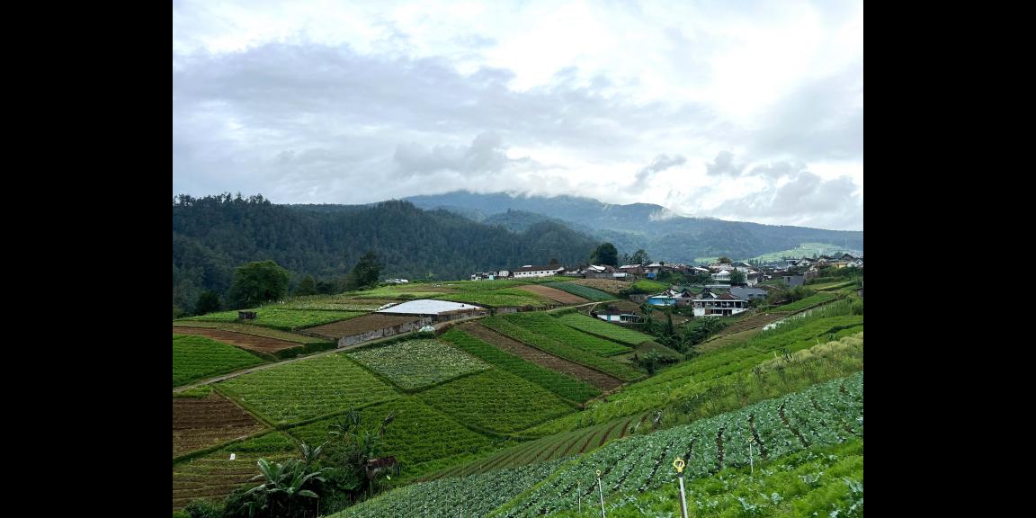 Tanah 300 Juta Siap Bangun Villa Tawangmangu  Tanah 300 Juta Siap Bangun Villa Tawangmangu