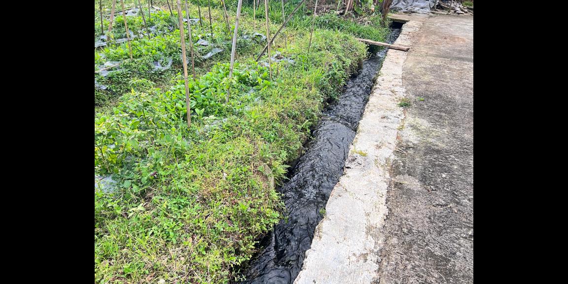 Tanah Udara Dingin 562m² Kawasan Strategis Karangpandan Tanah Udara Dingin 562m² Kawasan Strategis Karangpandan