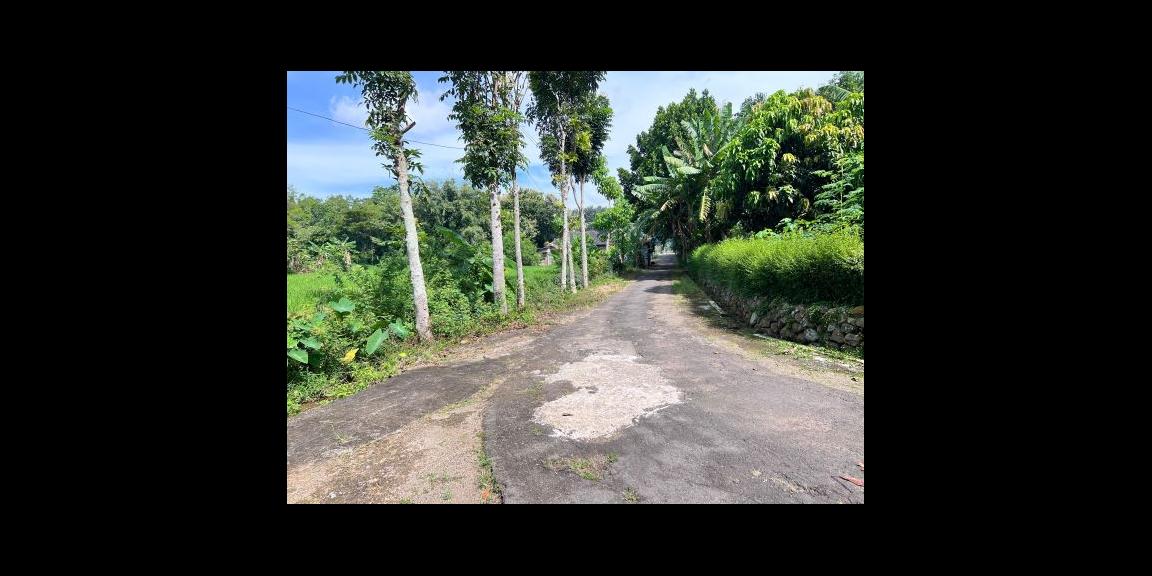 Tanah Datar View Hamparan Sawah Kedawung, Sragen Tanah Datar View Hamparan Sawah Kedawung, Sragen