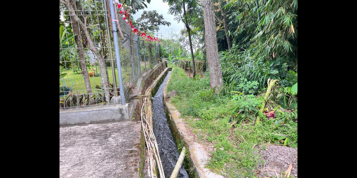 Pekarangan 225 Juta Cocok untuk Kebun Buah Ngargoyoso Pekarangan 225 Juta Cocok untuk Kebun Buah Ngargoyoso
