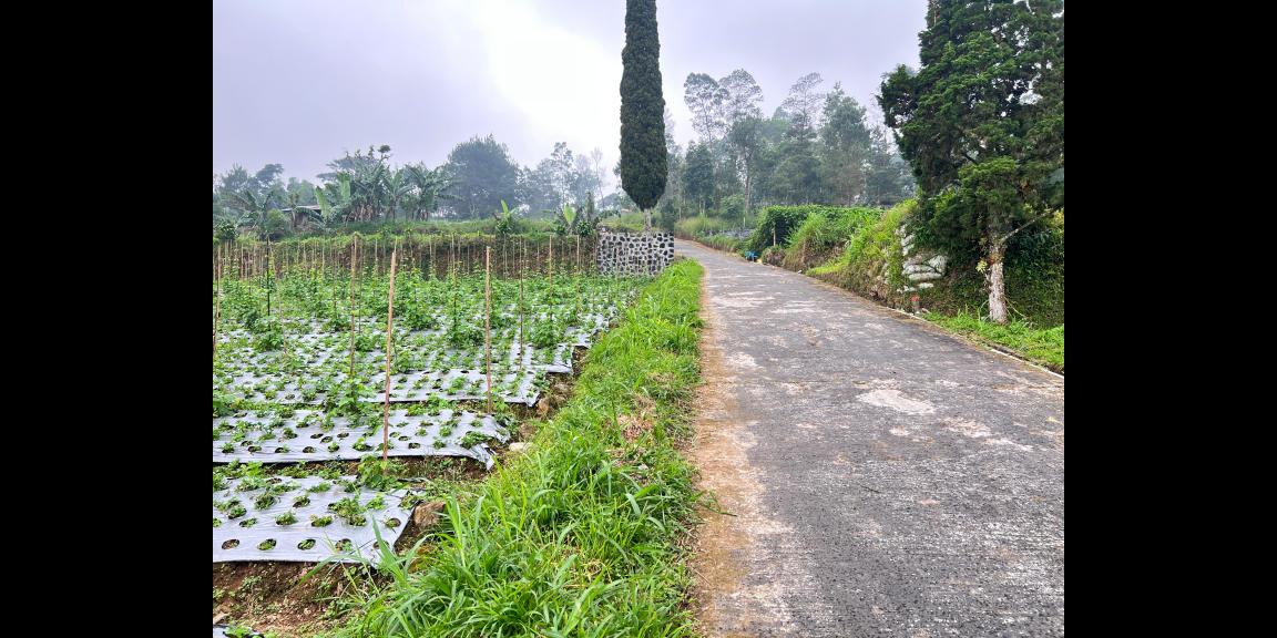 Tanah 1068m² View Cantik Tanpa Halang Ngargoyoso Tanah 1068m² View Cantik Tanpa Halang Ngargoyoso